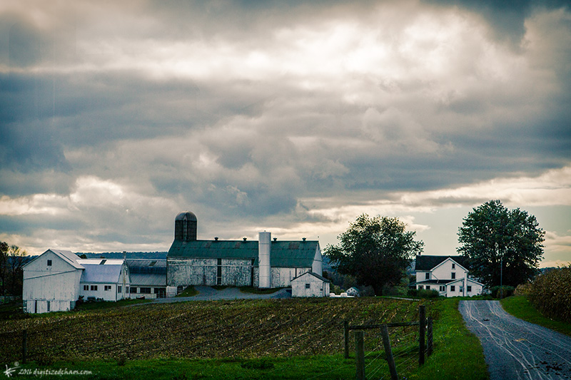farmstead